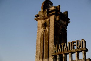 Télam 26/02/2016 Buenos Aires: En "El agua mala" la periodista Josefina Licitra desenreda y narra a partir de la voz de los habitantes la historia y el drama social de Villa Epecuén, el pueblo balneario-bonaerense que supo ser uno de los polos del turismo termal más importantes del país y que, tras una crecida de un lago el 10 de noviembre de 1985, quedó bajo ocho metros de agua condenándolo en tan sólo tres semanas a la eterna desaparición. 
"Teníamos un paraíso hasta que el lago enloqueció. Uno se pasa la vida entera preguntándose qué pasó ahí. Esa fue agua mala", dijo uno de los vecinos que contactó Licitra, puntapié para desovillar, en una magistral crónica sobre la inundación del pueblo, el dolor de perder todo pero también desnudar las mezquindades, desidias y responsabilidades alrededor de este drama, donde la lluvia sólo fue un factor. 
Foto: Luciana Granovsky/Télam/ab