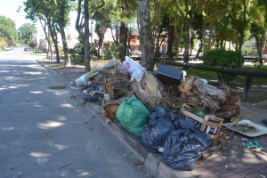 MASBASURALES04