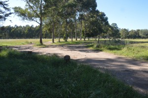 PARQUECAMET01
