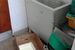 IMG-20160401-WA0005