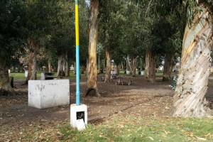 camet1 (13)