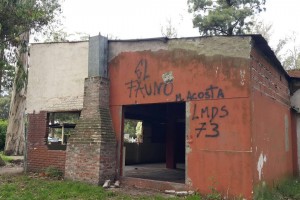 camet1 (8)