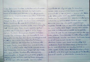 evaluacion la peregrina