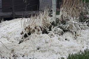 img_6128.jpg