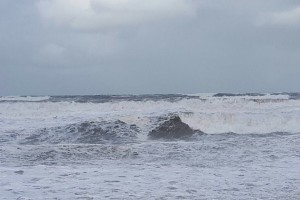 img_6132.jpg