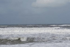 img_6138.jpg