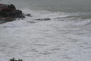 img_6140.jpg