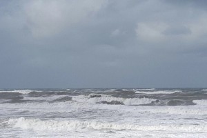 img_6141.jpg