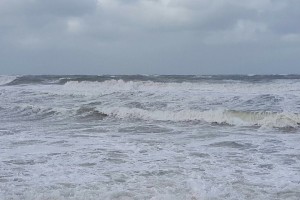 img_6142.jpg