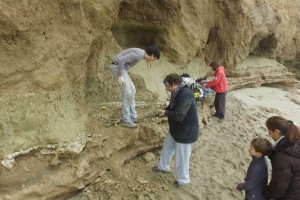 IMG-20160519-WA0017