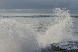 IMG_9860