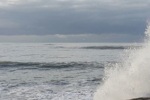 IMG_9874