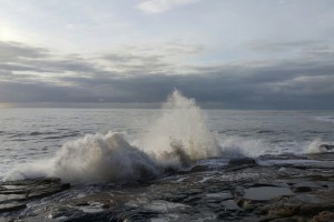 IMG_9884