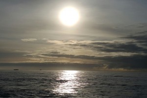 IMG_9895
