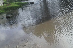 Camet 5