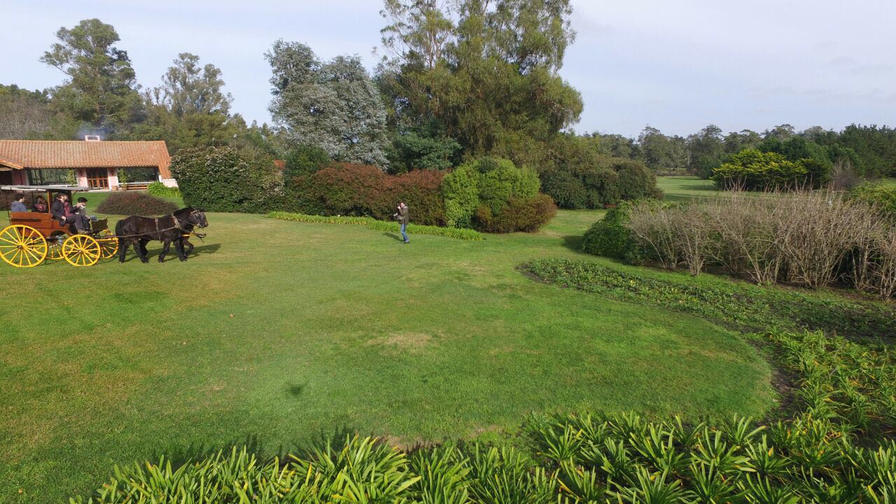 IMG-20160702-WA0033