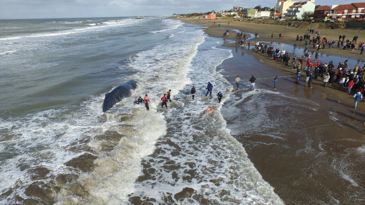 IMG-20160716-WA0044