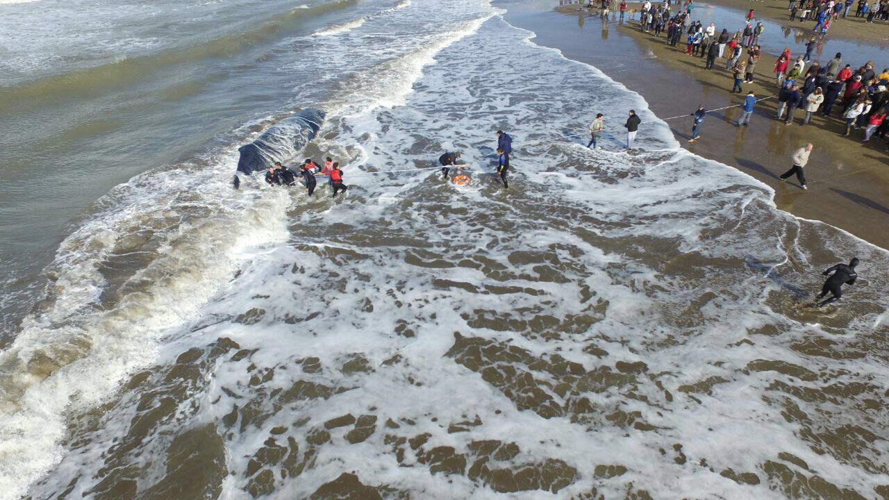 IMG-20160716-WA0049