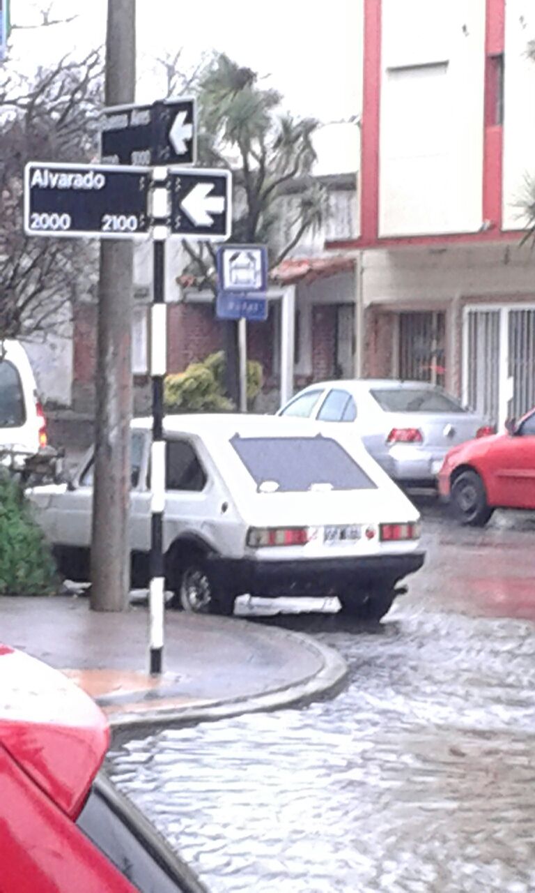 xlluvia (1)