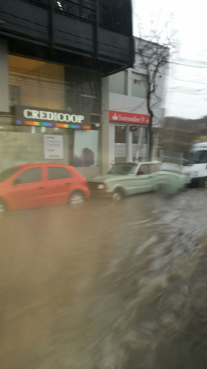 xlluvia (2)