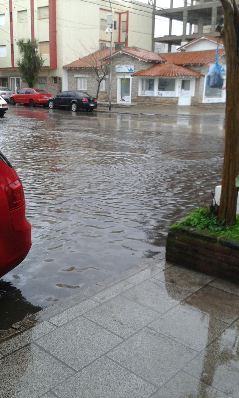 xlluvia (3)