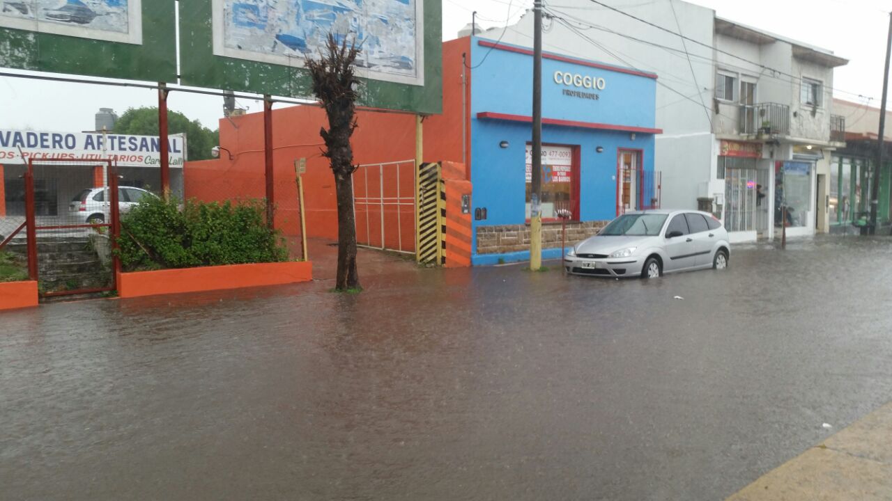 xlluvia (5)