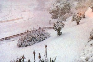 nieve4